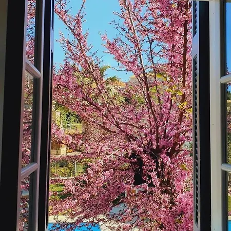 Av - Maria Karia (Lefkada)